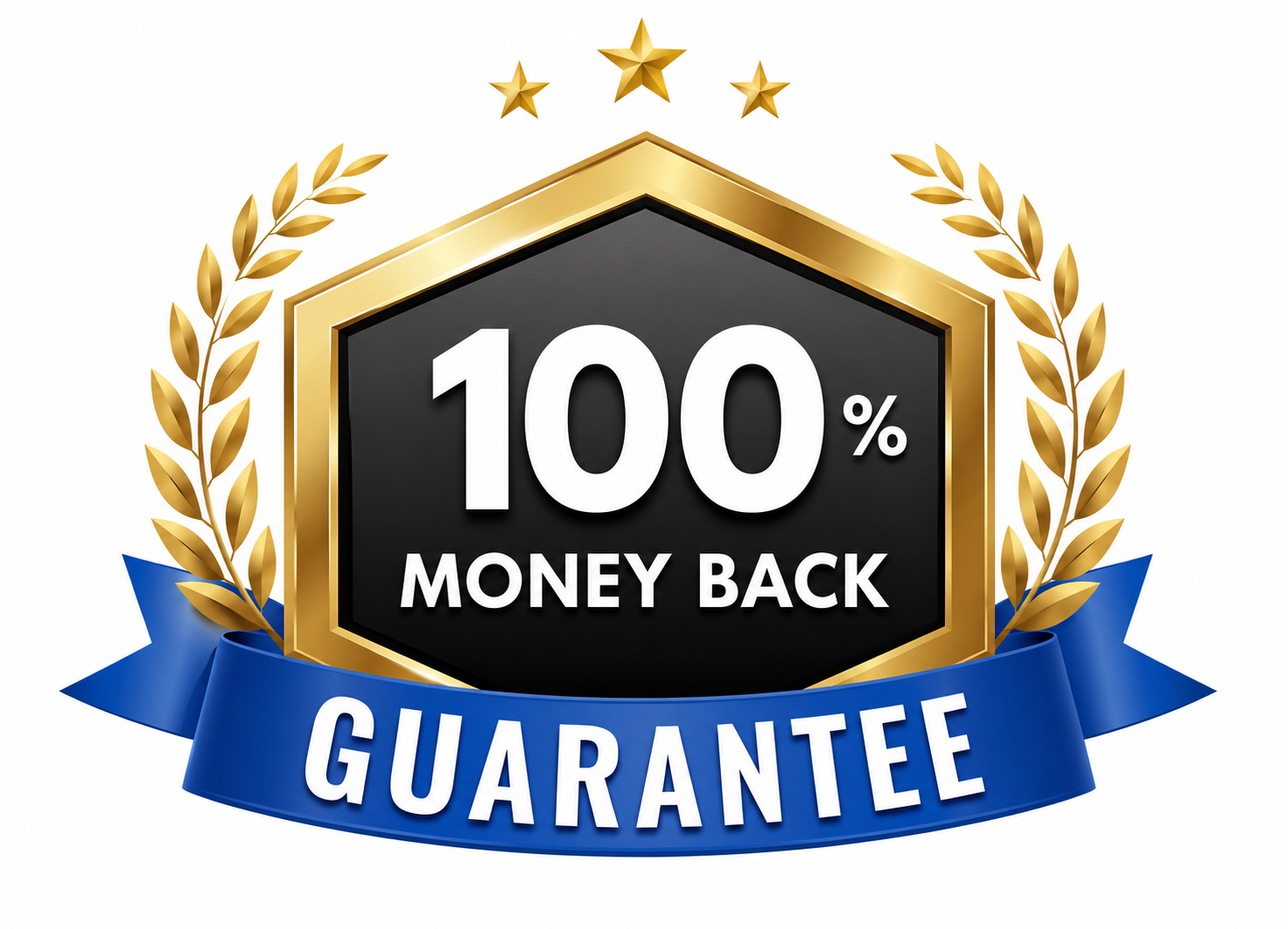 100% Money-Back Guarantee